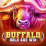 Buffalo Hold and Win logotipas