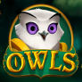 Owls logotipas