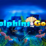 Dolphins Gold logotipas
