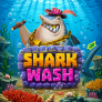 Shark Wash logotipas