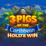 3 Pigs of the Caribbean logotipas