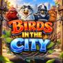 Birds in The City logotipas