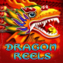 Dragon Reels logotipas