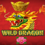 Wild Dragon logotipas