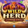 Wild Herd Stampede Stacks logotipas