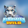 Himalayan Wild logotipas